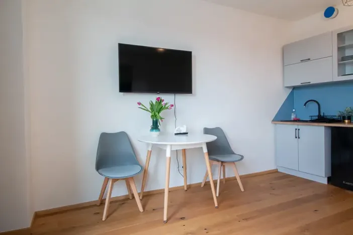 Pronájem bytu 1+kk, Praha - Vinohrady, Perucká, 27 m2