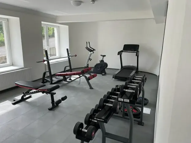Pronájem bytu 1+kk, Praha - Vinohrady, Perucká, 27 m2