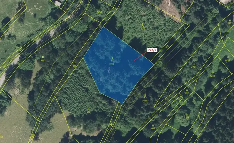Dražba lesa, Zlatá Olešnice, 2620 m2