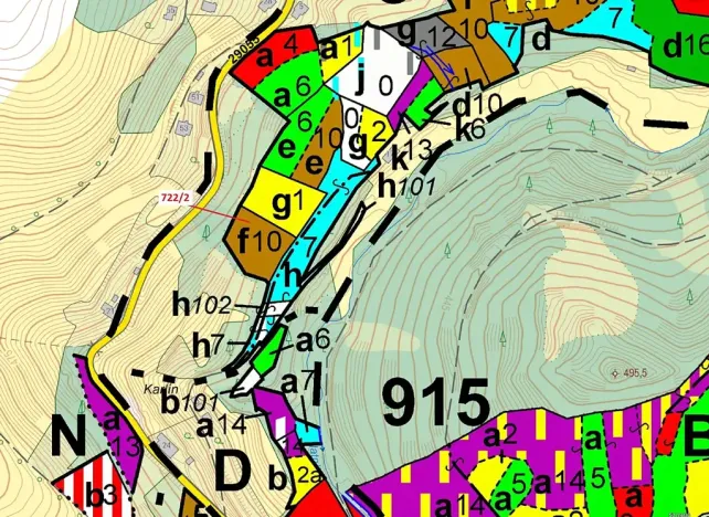 Dražba lesa, Zlatá Olešnice, 2620 m2