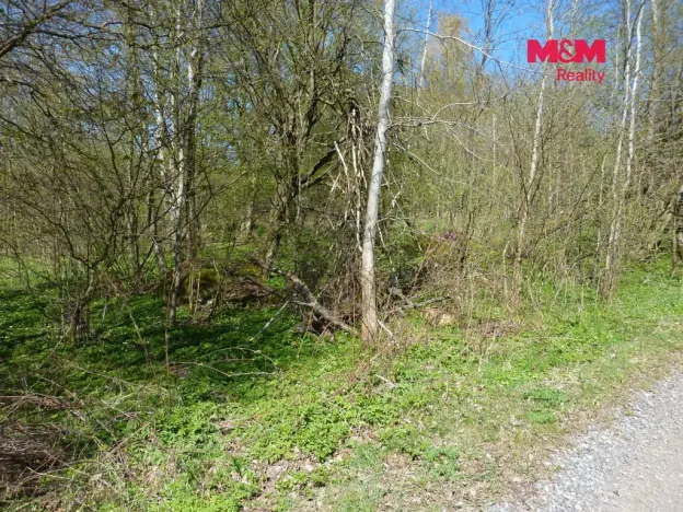 Prodej pozemku pro bydlení, Brzice, 1453 m2
