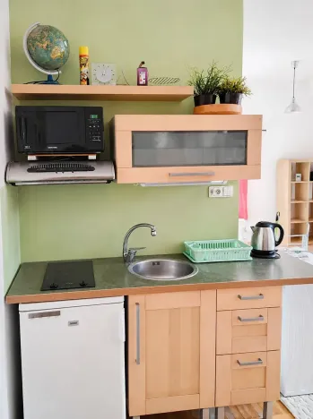 Pronájem bytu 1+kk, Brno, Kohoutova, 45 m2