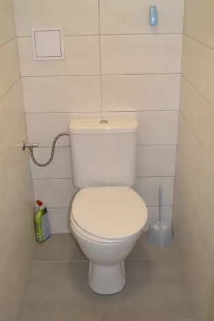 Pronájem obchodního prostoru, Mladá Boleslav - Mladá Boleslav I, Železná, 60 m2