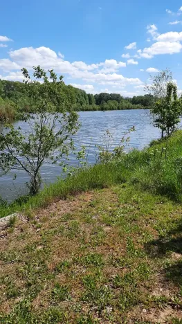 Prodej rybníku, Bulhary, 350 m2