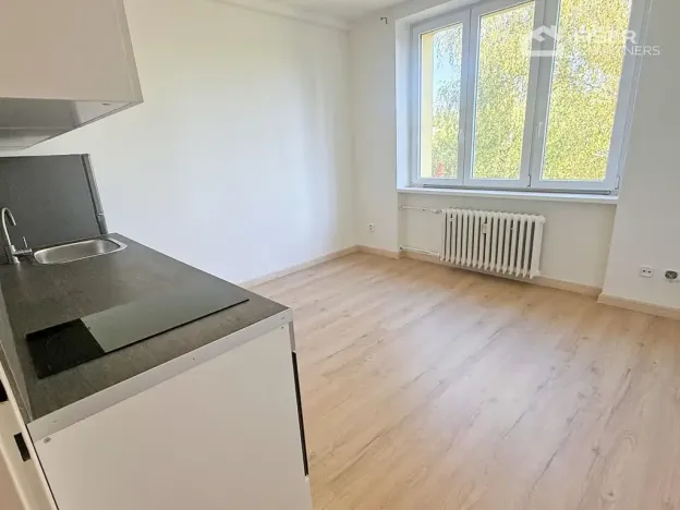 Pronájem bytu 1+kk, Valašské Meziříčí, Křižná, 20 m2