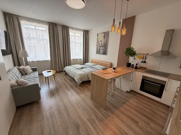 Pronájem bytu 1+kk, Brno, Francouzská, 40 m2