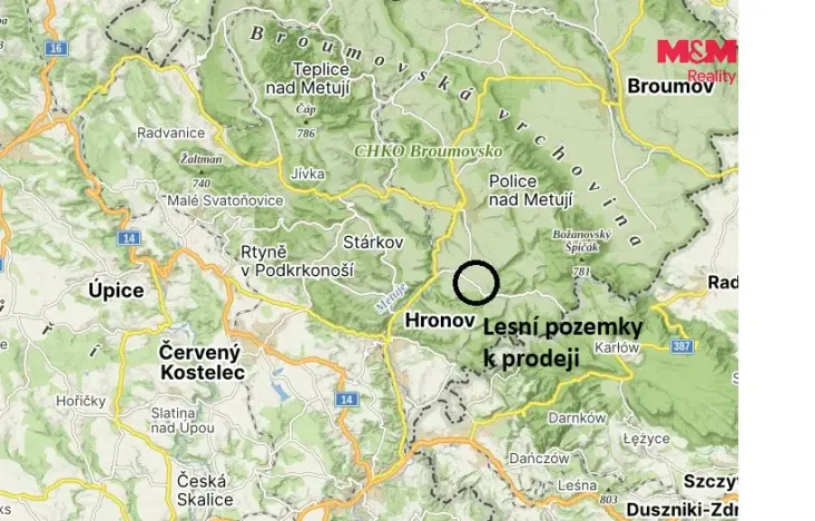 Prodej louky, Vysoká Srbská, 26000 m2