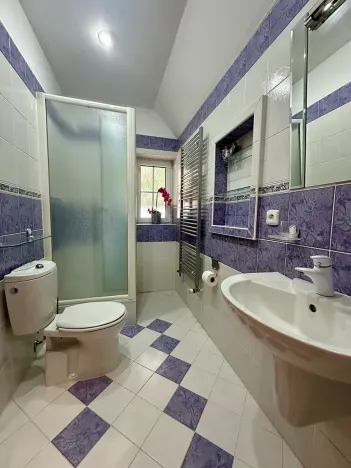 Pronájem rodinného domu, Bašť, Za Vilou, 300 m2