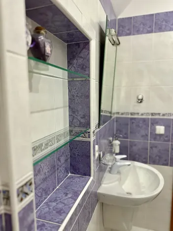 Pronájem rodinného domu, Bašť, Za Vilou, 300 m2