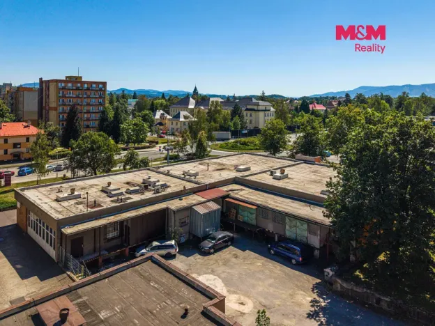 Prodej obchodního prostoru, Český Těšín, Slezská, 900 m2
