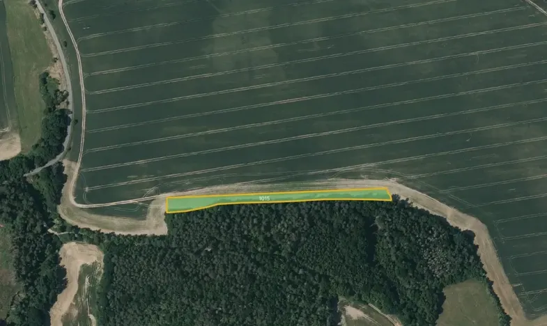 Prodej pole, Kladruby, 6646 m2