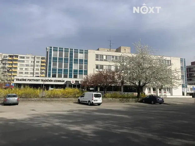 Pronájem skladu, Tábor, Světlogorská, 41 m2