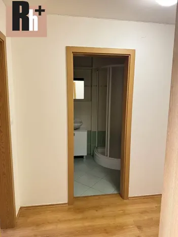 Pronájem bytu 2+kk, Ostrava, U Soudu, 54 m2