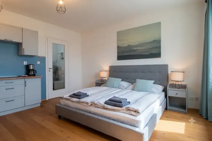 Pronájem bytu 1+kk, Praha, Perucká, 27 m2
