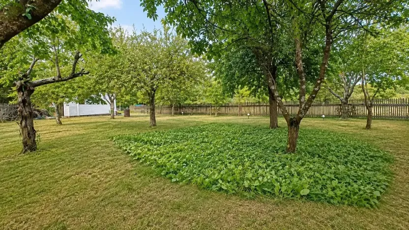 Prodej pozemku pro bydlení, Žernovník, 836 m2