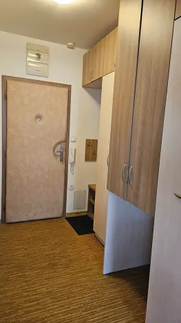 Prodej bytu 1+kk, Velké Meziříčí, Školní, 29 m2