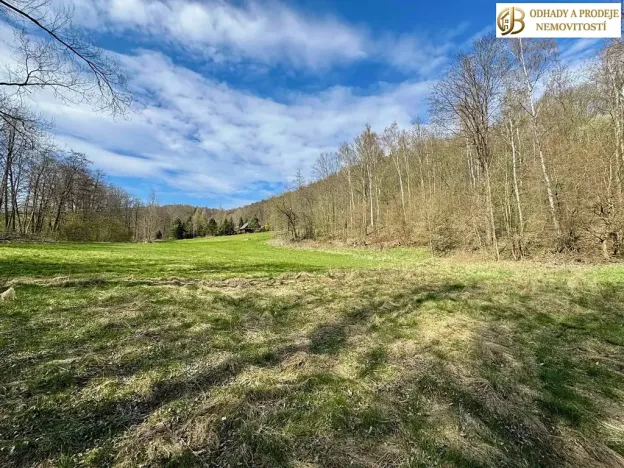 Prodej pozemku pro bydlení, Libina, 8112 m2