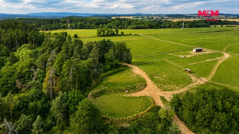 Pronájem komerčního pozemku, Planá, 33448 m2