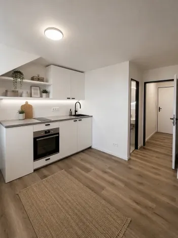 Pronájem bytu 1+kk, Praha - Nusle, Petra Rezka, 19 m2