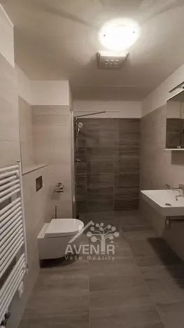 Pronájem bytu 2+kk, Liberec, U Nisy, 48 m2