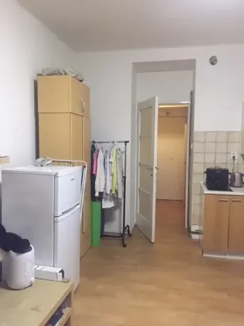 Pronájem bytu 1+kk, Praha - Podolí, Na dolinách, 30 m2