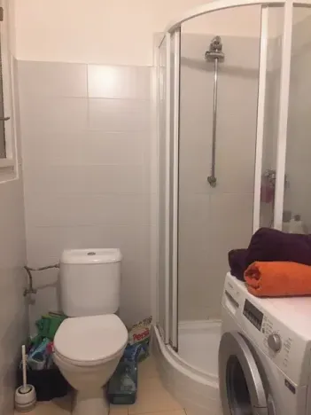 Pronájem bytu 1+kk, Praha - Podolí, Na dolinách, 30 m2