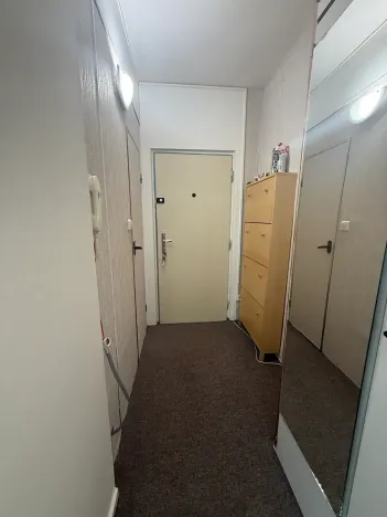 Prodej bytu 2+kk, Liberec, Mlýnská, 33 m2