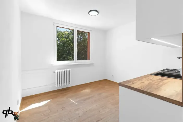Prodej bytu 1+1, Frýdek-Místek, J. E. Purkyně, 35 m2