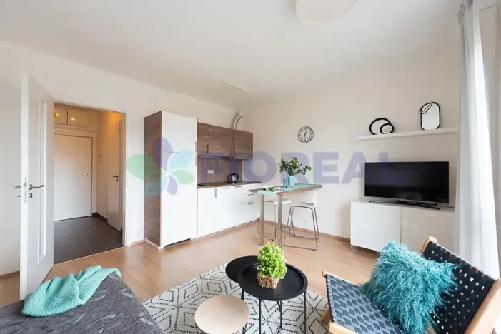 Pronájem bytu 1+kk, Praha - Motol, Plzeňská, 28 m2