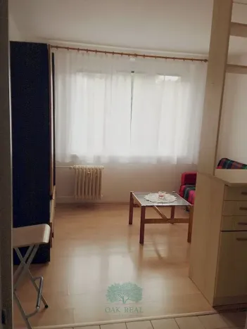 Pronájem bytu 1+kk, Praha - Hostivař, Lyžařská, 20 m2