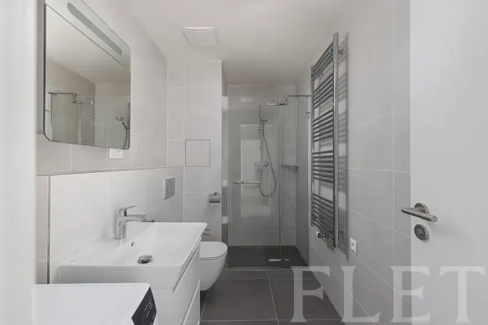 Pronájem bytu 2+kk, Praha - Řeporyje, Haenkeho, 48 m2
