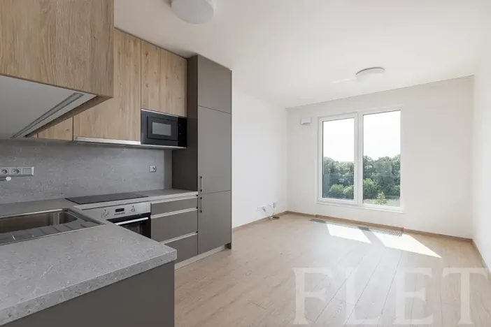 Pronájem bytu 2+kk, Praha - Řeporyje, Haenkeho, 47 m2