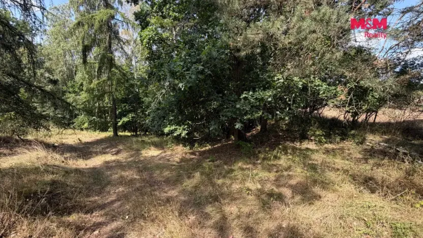Prodej pole, Úštěk, 8460 m2