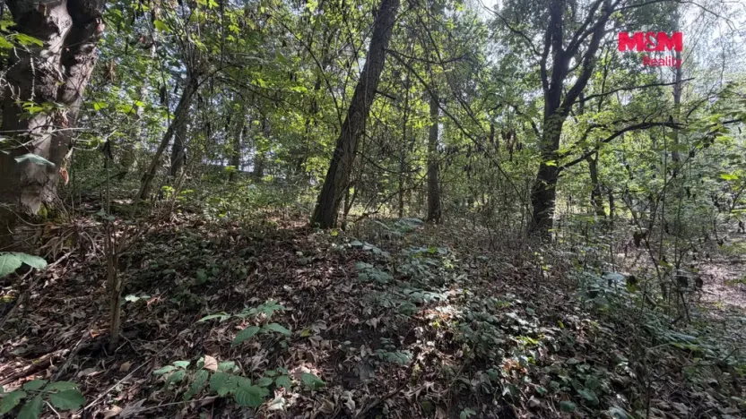 Prodej pole, Úštěk, 8460 m2