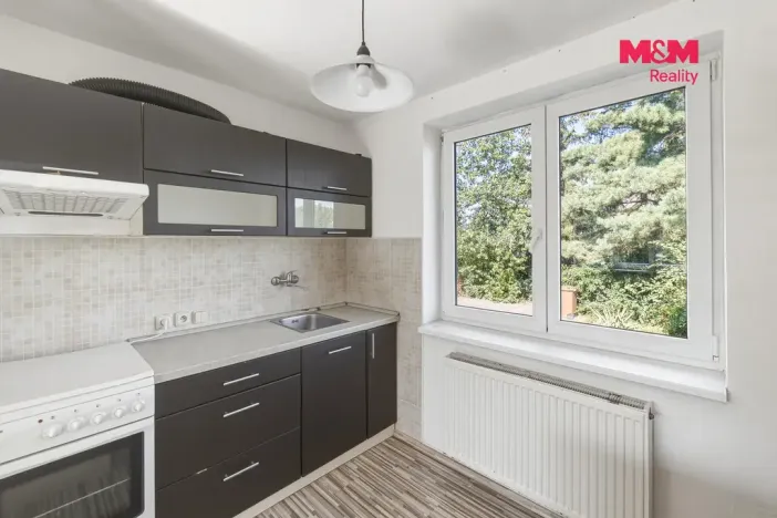 Pronájem rodinného domu, Dolní Beřkovice, Dolní hájek, 100 m2