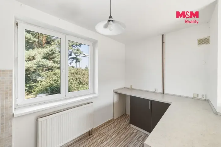 Pronájem rodinného domu, Dolní Beřkovice, Dolní hájek, 100 m2