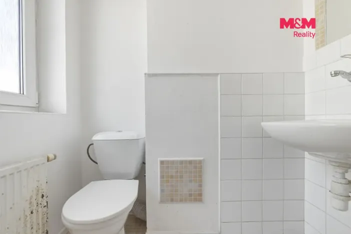 Pronájem rodinného domu, Dolní Beřkovice, Dolní hájek, 100 m2