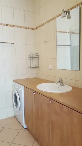 Pronájem bytu 2+kk, Praha - Podolí, Nedvědovo náměstí, 51 m2