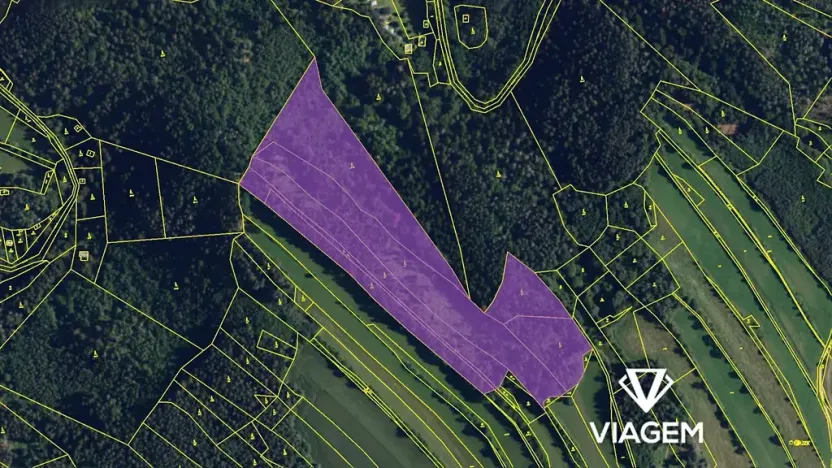 Prodej podílu lesa, Kuřimská Nová Ves, 25162 m2