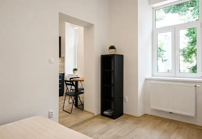 Pronájem bytu 1+1, Brno, Koliště, 30 m2