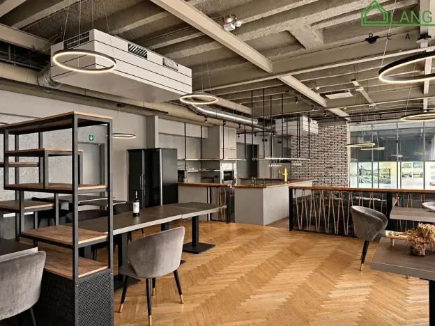 Pronájem restaurace, Brno, Dominikánské náměstí, 487 m2