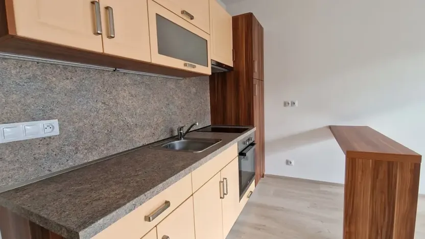 Pronájem bytu 1+kk, Plzeň, Sladová, 42 m2