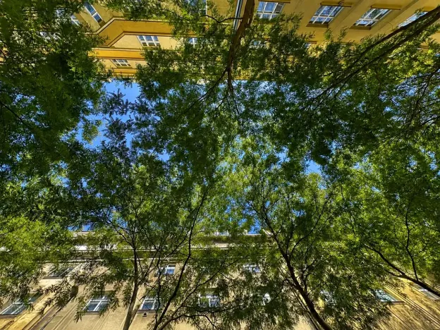 Prodej bytu 3+1, Praha - Vinohrady, Orlická, 112 m2