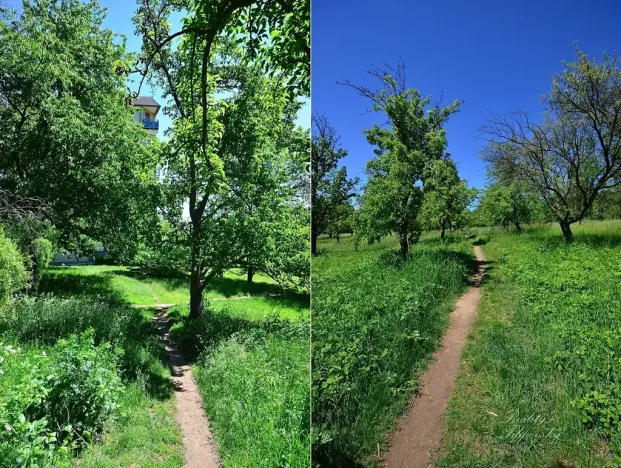 Pronájem bytu 2+1, Chlumec, Stradovská, 65 m2