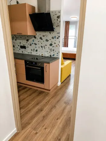 Pronájem bytu 1+1, Praha - Žižkov, V domově, 39 m2
