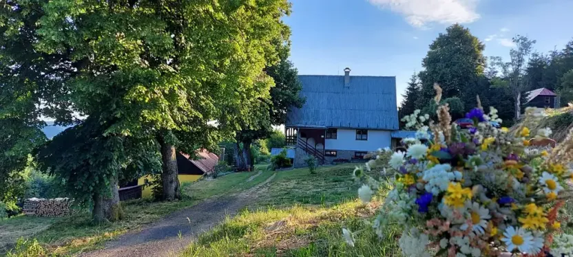 Prodej chaty, Vyškovec, 213 m2
