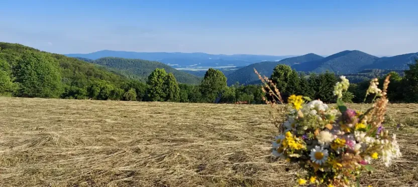 Prodej chaty, Vyškovec, 213 m2