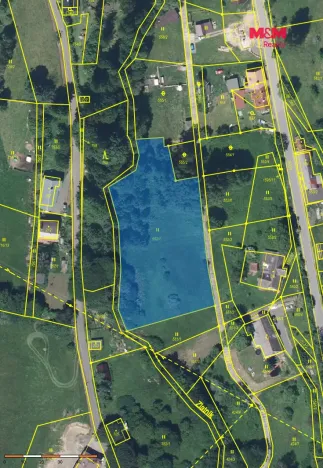 Prodej louky, Zlatá Olešnice, 3984 m2