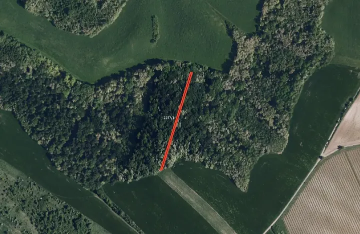 Prodej pole, Křepice, 6238 m2