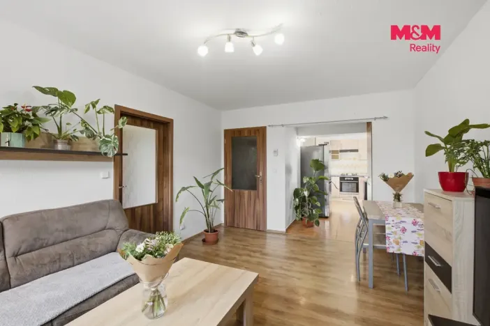 Prodej bytu 3+1, Kněževes, Štrosova, 55 m2